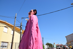 DSC_0060-2
