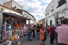 DSC_0340-Mediana
