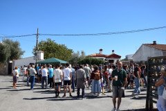 DSC_0210-Mediana