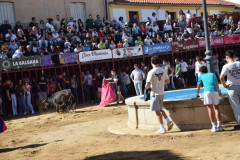 DSC_0004-Mediana