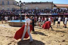 DSC_0022-Mediana