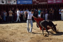 DSC_0027-Mediana