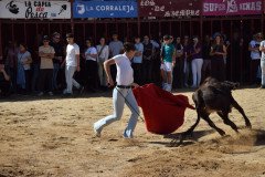 DSC_0028-Mediana