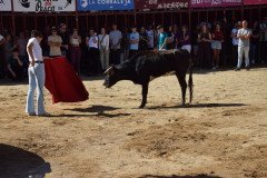DSC_0029-Mediana
