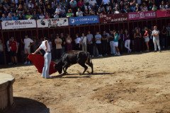 DSC_0030-Mediana