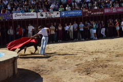 DSC_0033-Mediana
