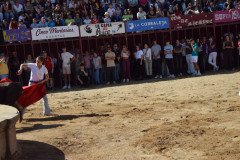DSC_0040-Mediana