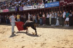 DSC_0047-Mediana