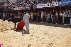 DSC_0052-Mediana