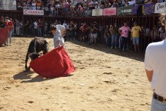 DSC_0055-Mediana