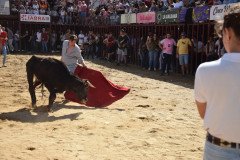 DSC_0058-Mediana