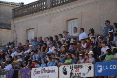 DSC_0065-Mediana