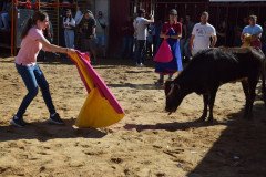 DSC_0072-Mediana