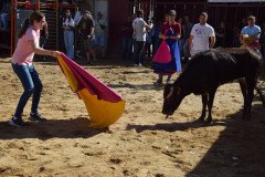 DSC_0073-Mediana