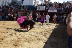 DSC_0074-Mediana