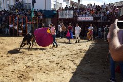 DSC_0076-Mediana