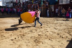 DSC_0080-Mediana