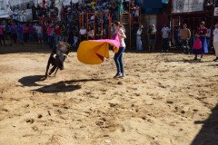 DSC_0081-Mediana