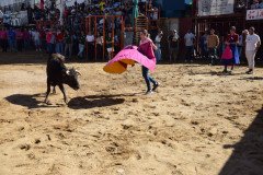 DSC_0082-Mediana