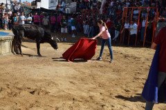 DSC_0094-Mediana