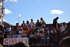 DSC_0095-Mediana