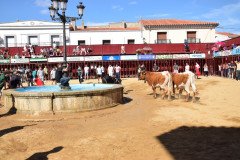 DSC_0105-Mediana