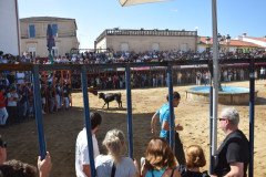 DSC_0115-Mediana