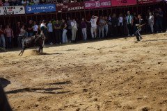 DSC_0117-Mediana