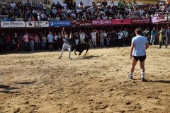 DSC_0118-Mediana