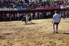 DSC_0119-Mediana