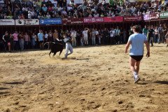 DSC_0120-Mediana