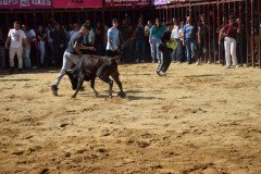 DSC_0121-Mediana