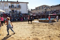 DSC_0123-Mediana