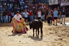DSC_0132-Mediana
