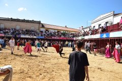 DSC_0134-Mediana