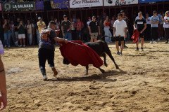 DSC_0137-Mediana