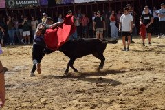 DSC_0138-Mediana
