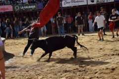 DSC_0139-Mediana