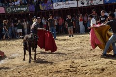 DSC_0142-Mediana