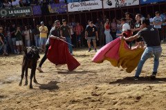 DSC_0143-Mediana