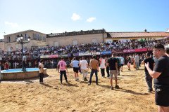 DSC_0145-Mediana