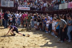 DSC_0180-Mediana