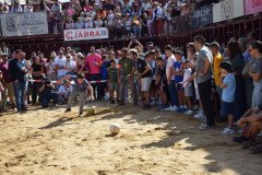 DSC_0189-Mediana