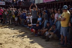DSC_0194-Mediana