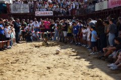 DSC_0202-Mediana