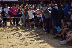 DSC_0225-Mediana