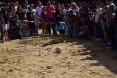 DSC_0228-Mediana