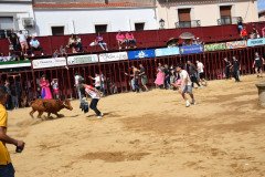 DSC_0232-Mediana