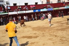DSC_0233-Mediana