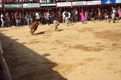 DSC_0234-Mediana